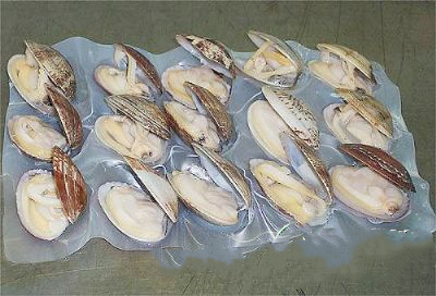 寿光蚂蚬