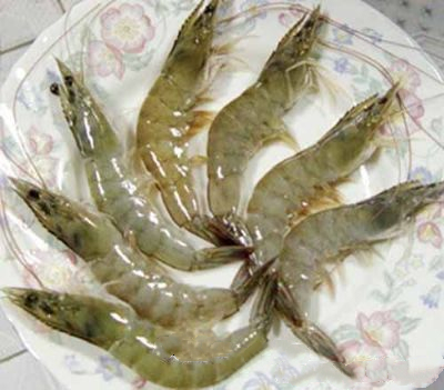 昌邑大对虾