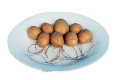 单县罗汉参