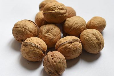 大羊薄皮核桃