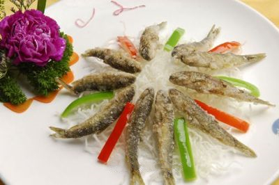 泰山赤磷鱼