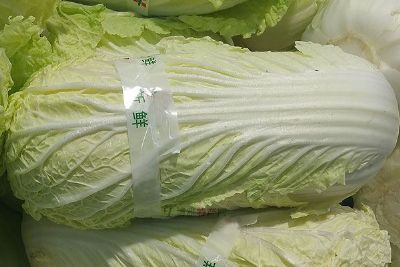许家桥大白菜