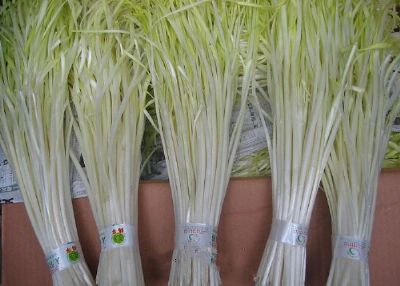 荆家四色韭黄