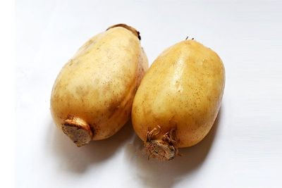 八湖莲藕