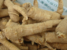 荣成西洋参