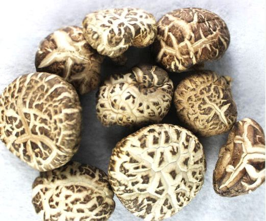 文登花香菇